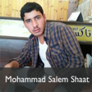 Mohammad Salem Shaat