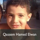 Qassem Hamed Elwan